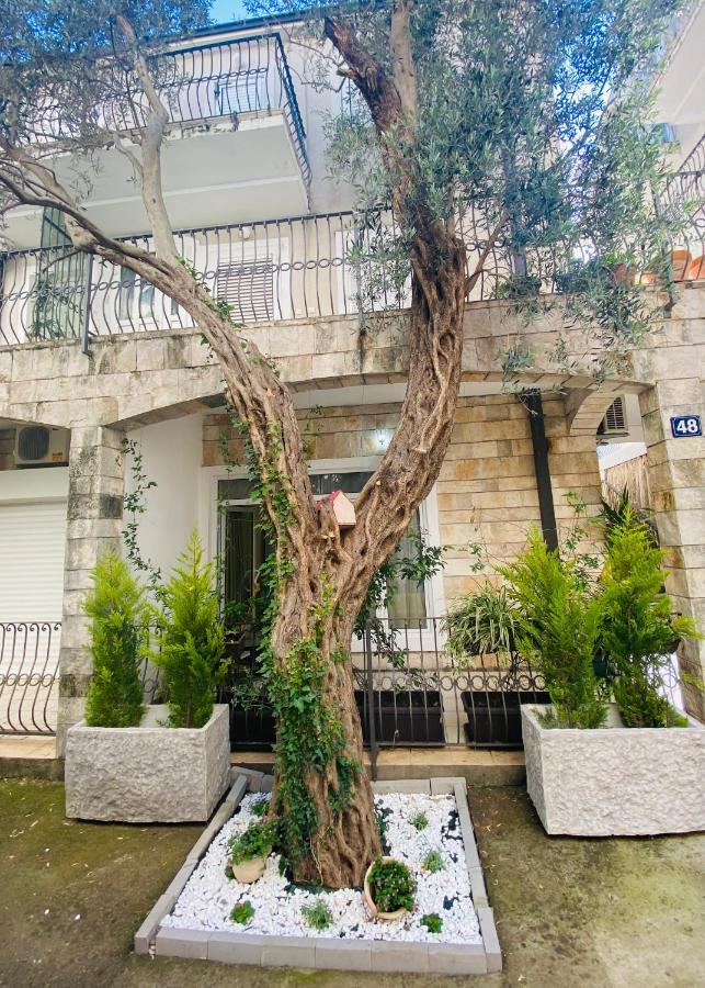 Apartment Oliva1 Petrovac 外观 照片
